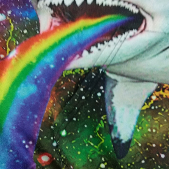 PULL OVER HOODIE CAT ALL OVER GRAPHICS ADULT 2XL - Picture 9 of 13